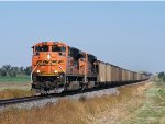 BNSF 8446